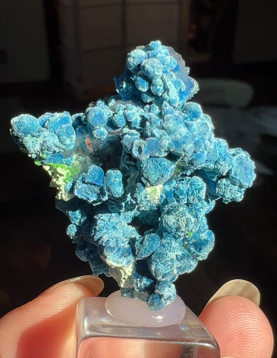 Botryoidal Shattuckite Specimen