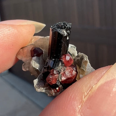 Spessartine Garnets on Tourmaline