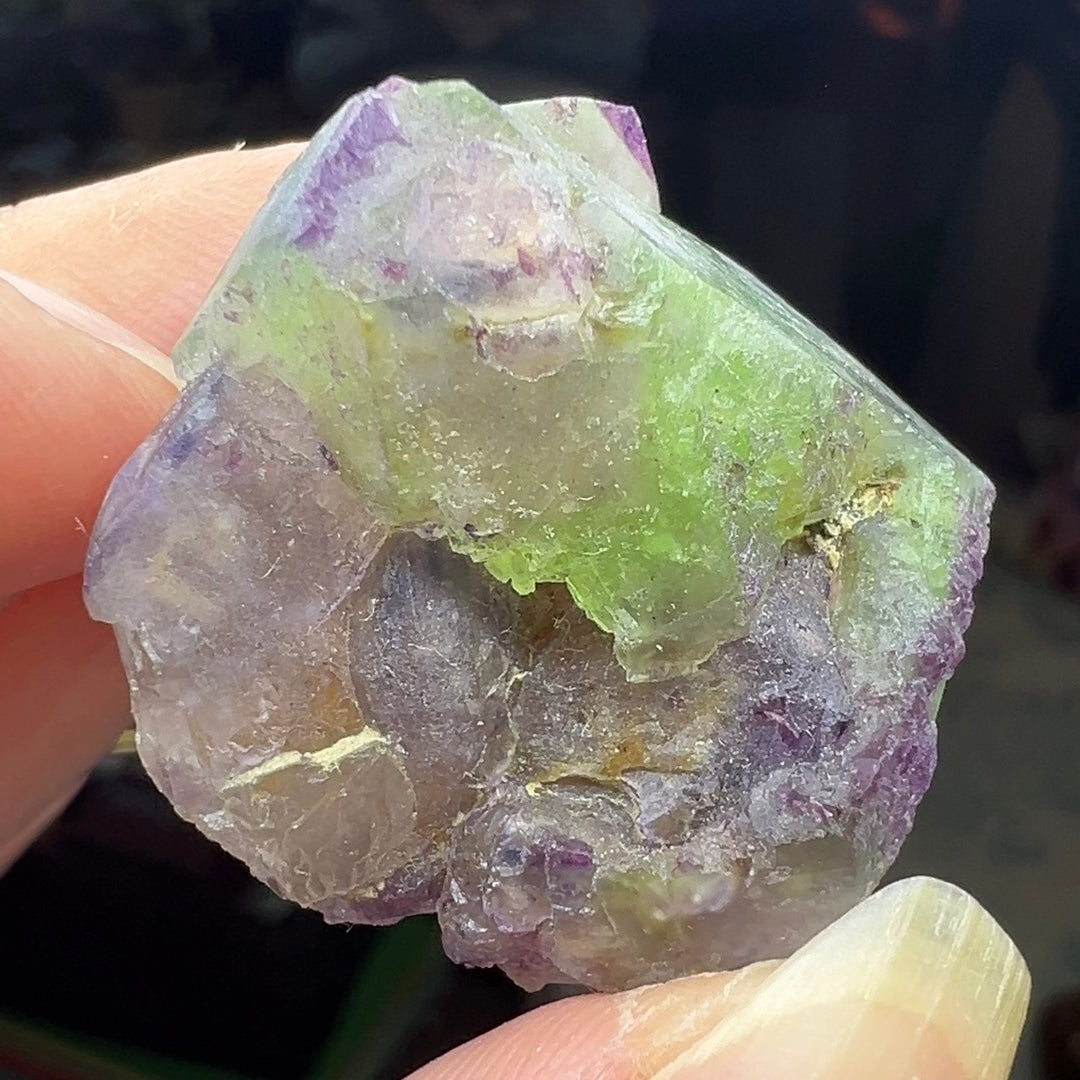 Mineral Specimens – The Eclectic Collects