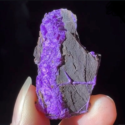 Fibrous Sugilite