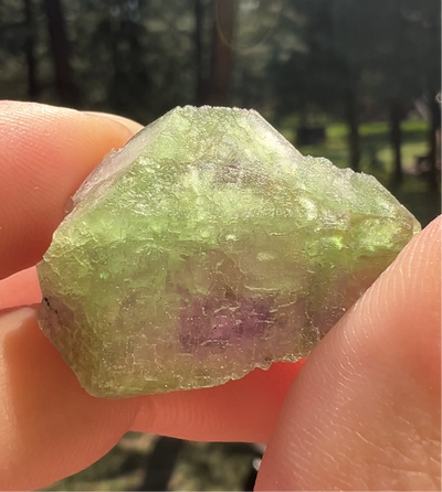Bicolor Fluorite Green Monster Pocket