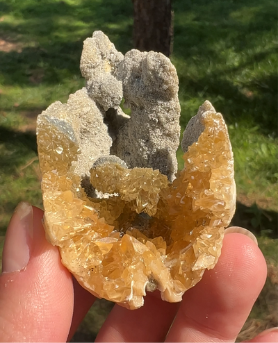 Calcite Clam Fossil