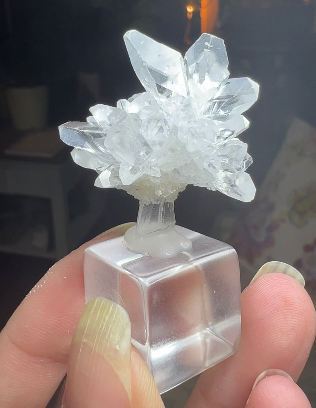 Mineral Specimens – The Eclectic Collects