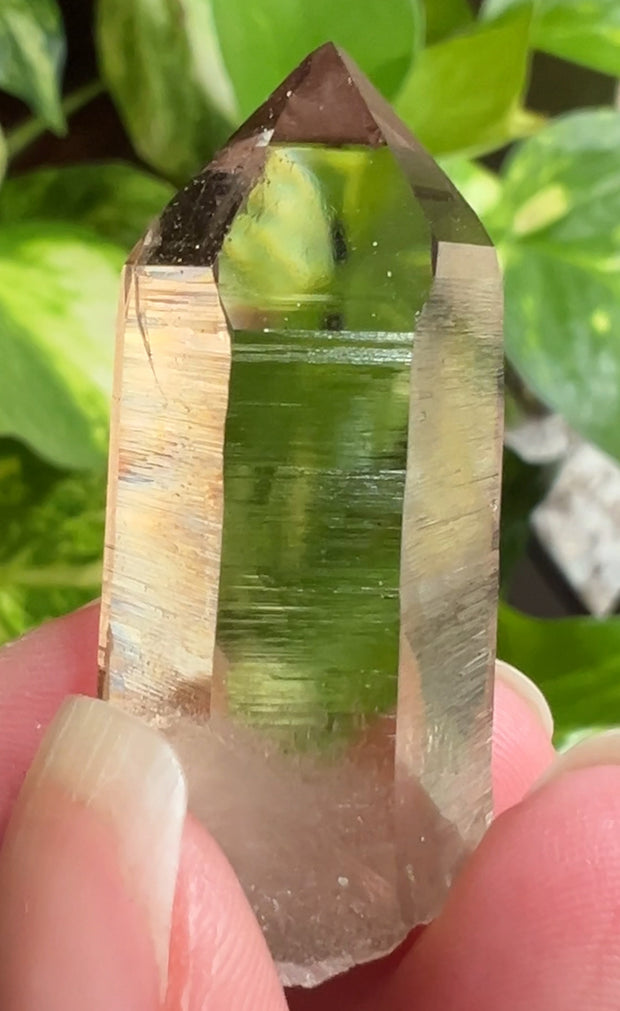 Swiss Smoky Quartz